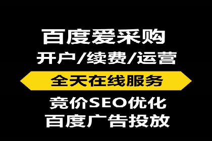 实战经验分享：SEO与SEM优化案例精选